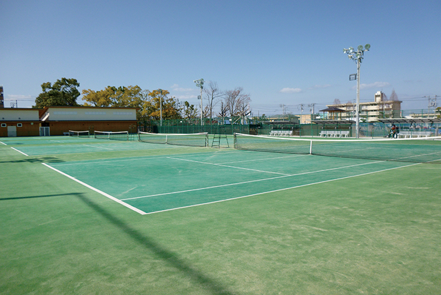 西条市民公園テニスコート　テニスコート全景